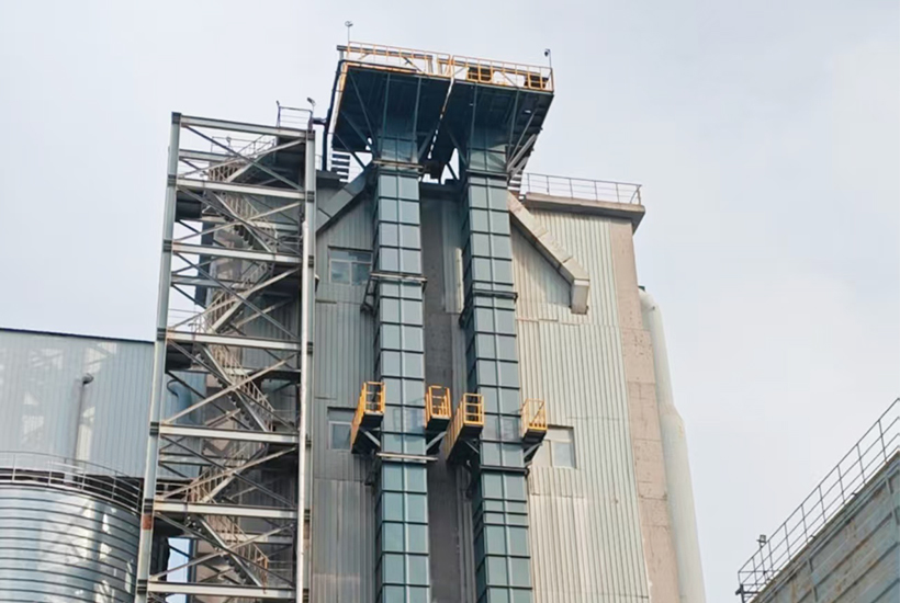 chain bucket elevator